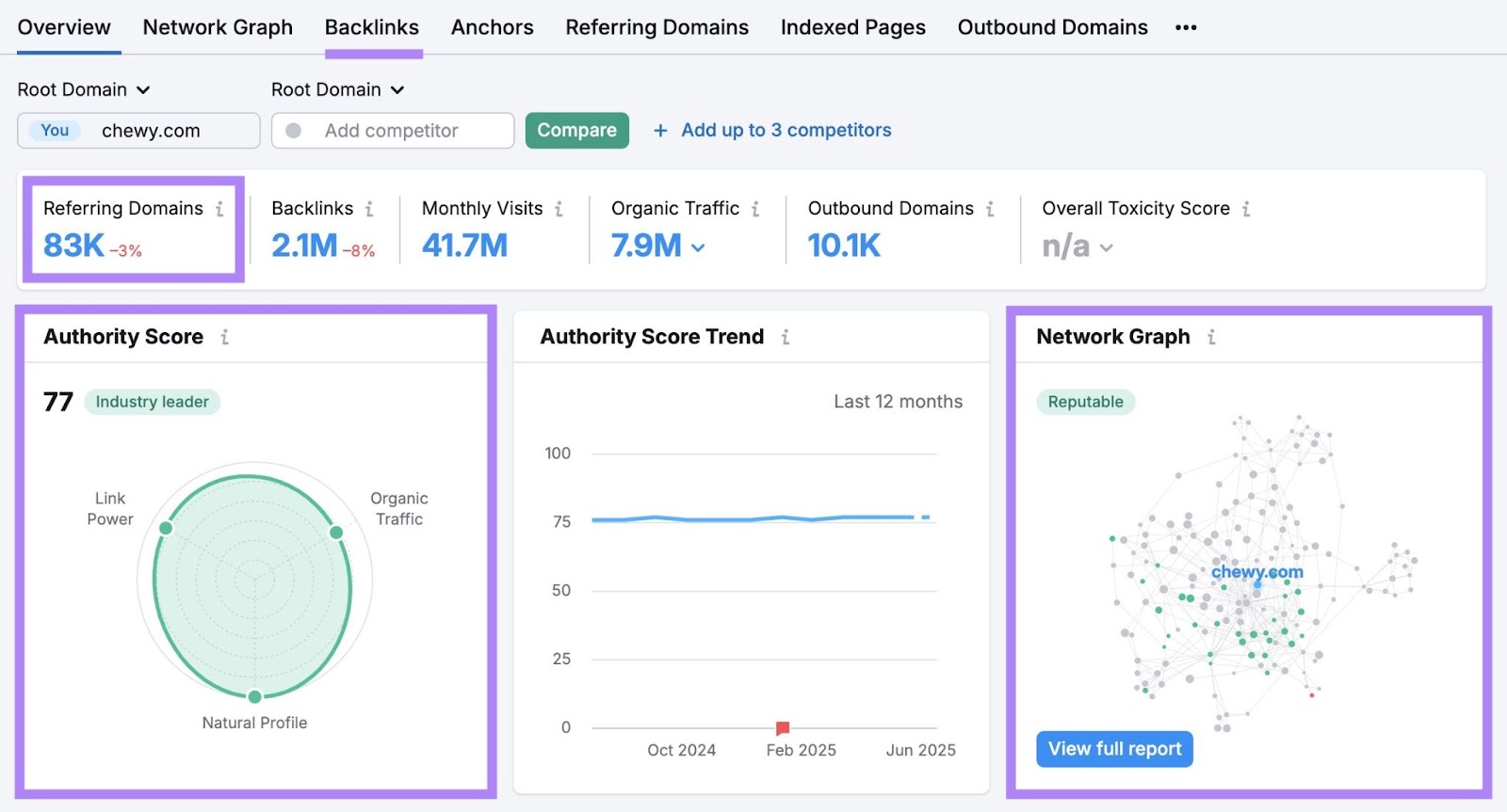 Backlinks report showing metrics like referring domains, authority score, and network graph, etc.