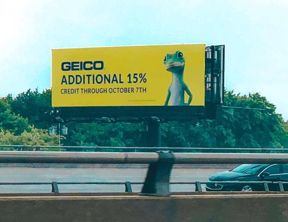 ‘The Gecko’ campaign billboard on the side of the road