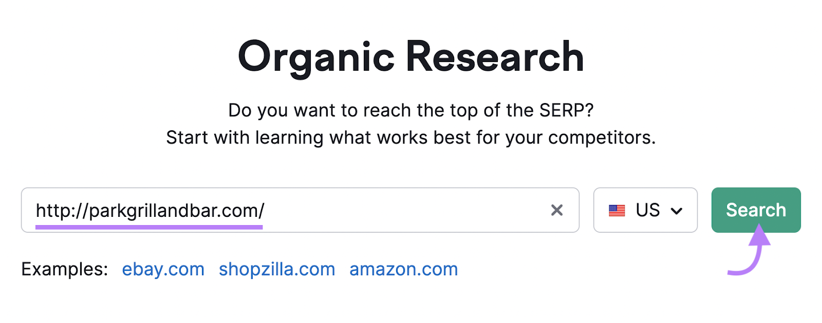Organic Rankings tool search bar