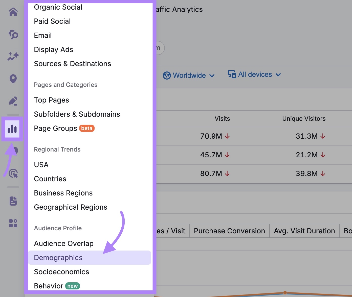 "Demographics" selected from the left sidebar of the Traffic & Market Toolkit.