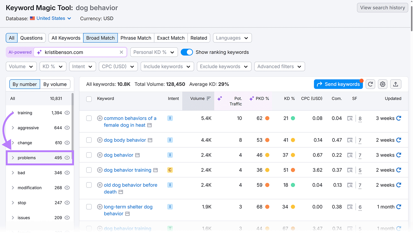Keyword Magic Tool sidebar with arrow pointing to “problems” keyword group.
