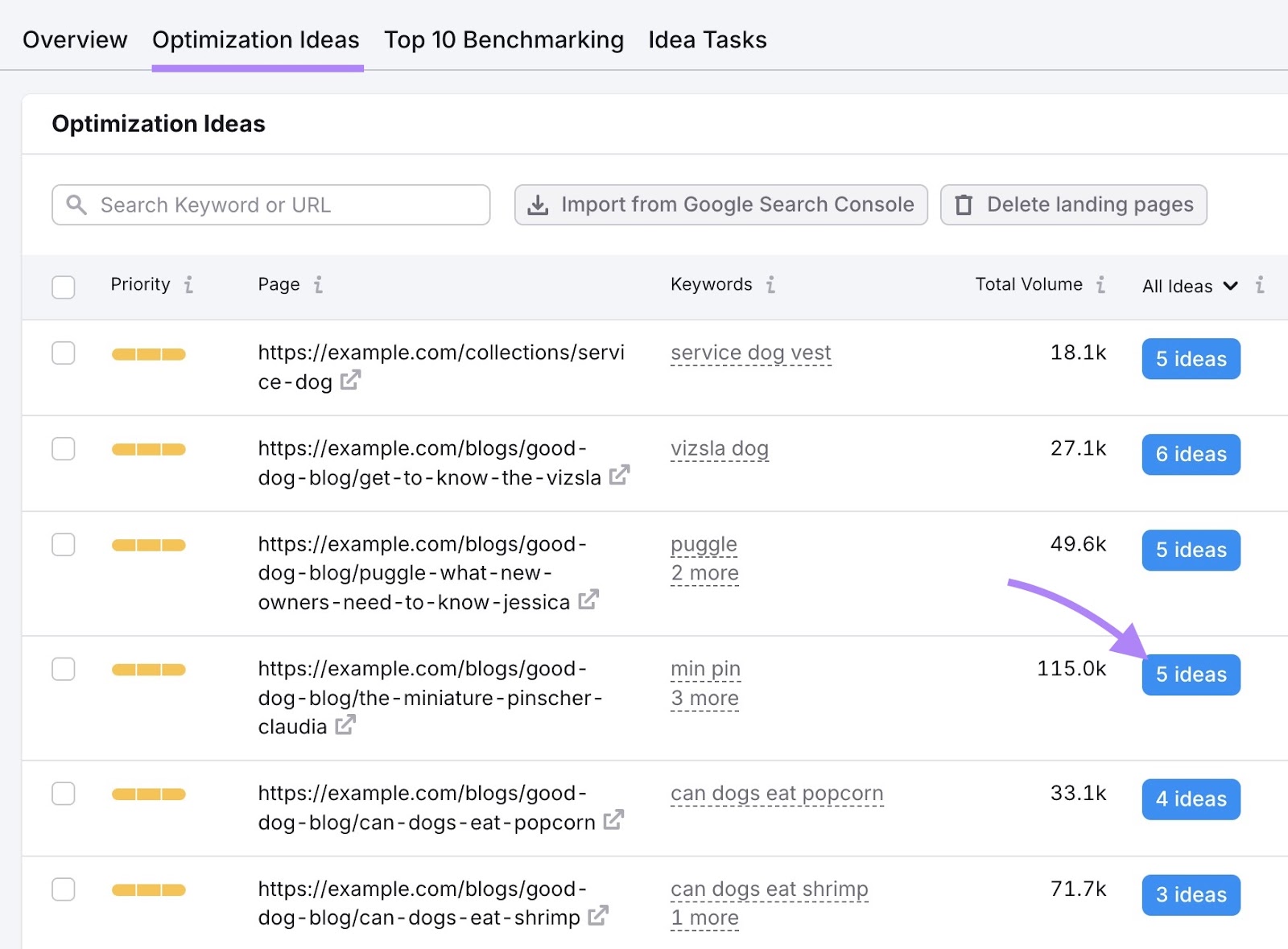 Optimization Ideas tab on the On Page SEO Checker with the "5 ideas" button next to a page clicked.