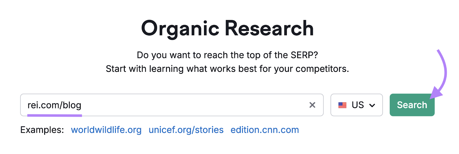 blog subfolder entered into Organic Rankings tool