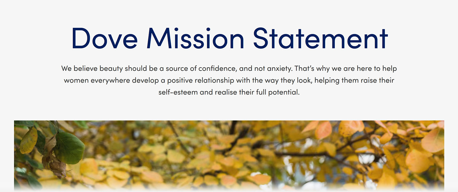 Dove mission statement promoting confidence and self-esteem by encouraging a positive relationship with beauty.