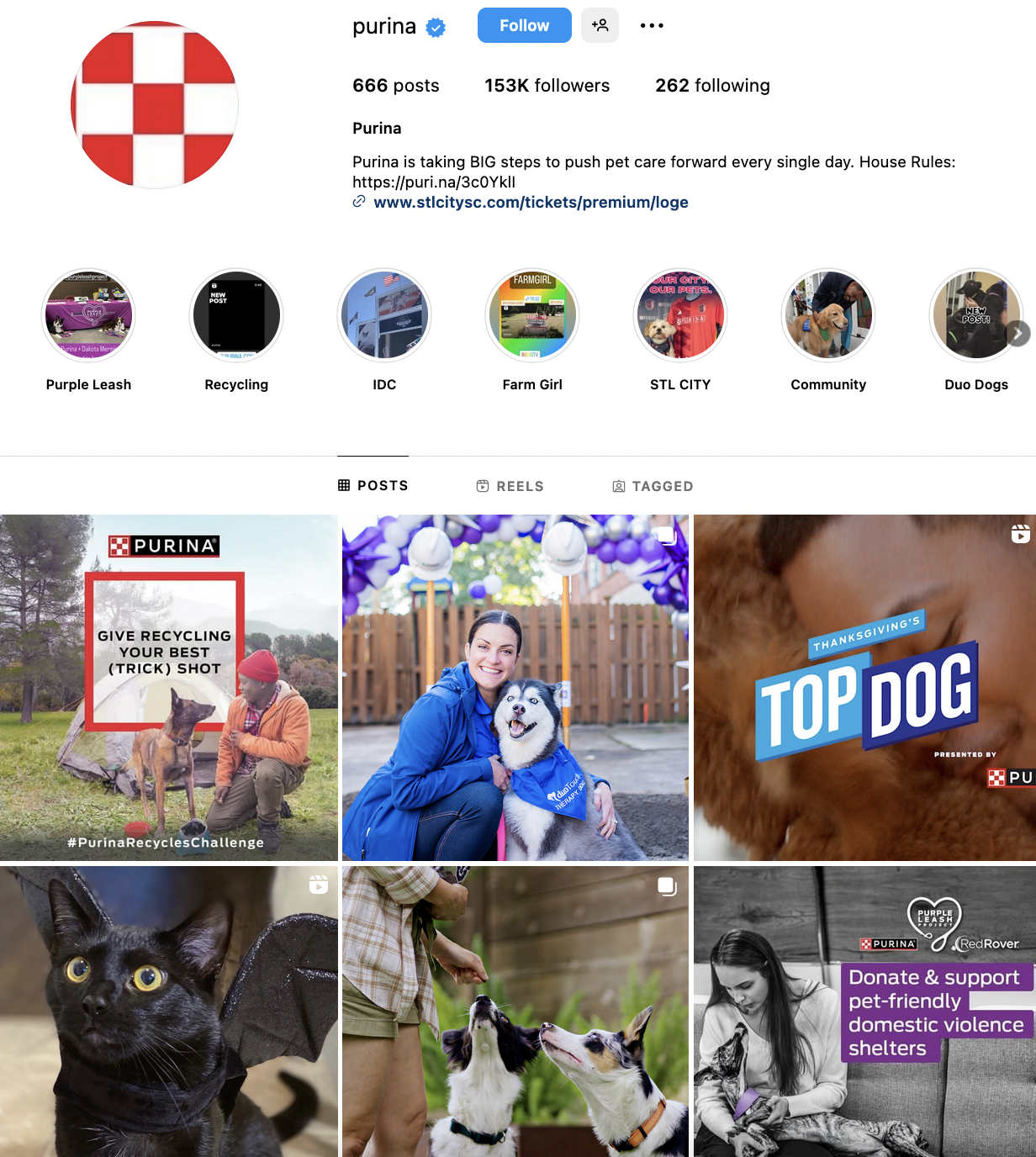 Purina’s Instagram account