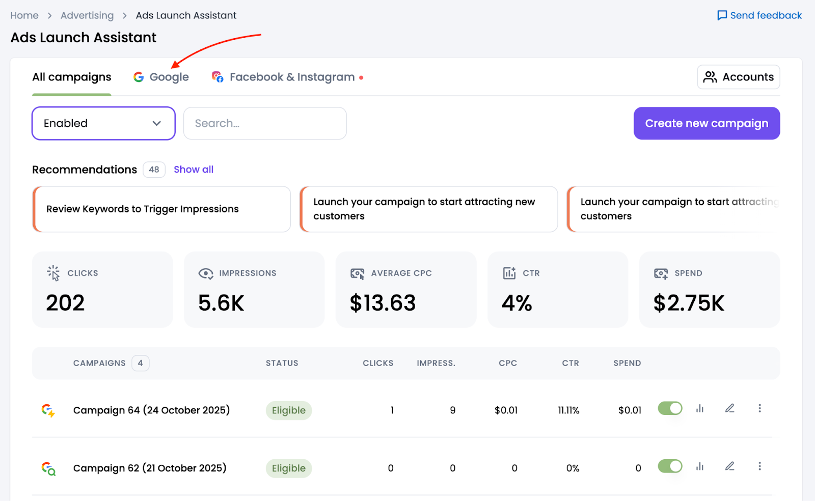 Google Ads dashboard view in Ads Launch Assistant.